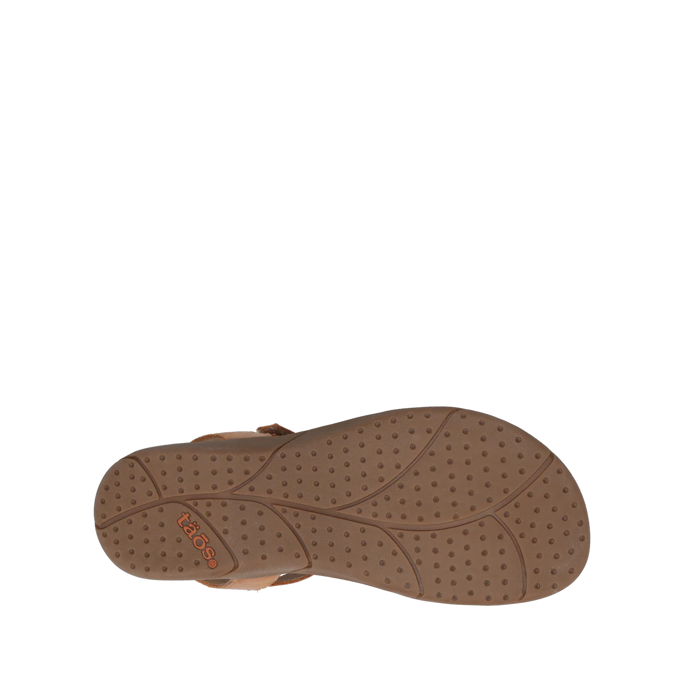 Trophy 2 - Image 5