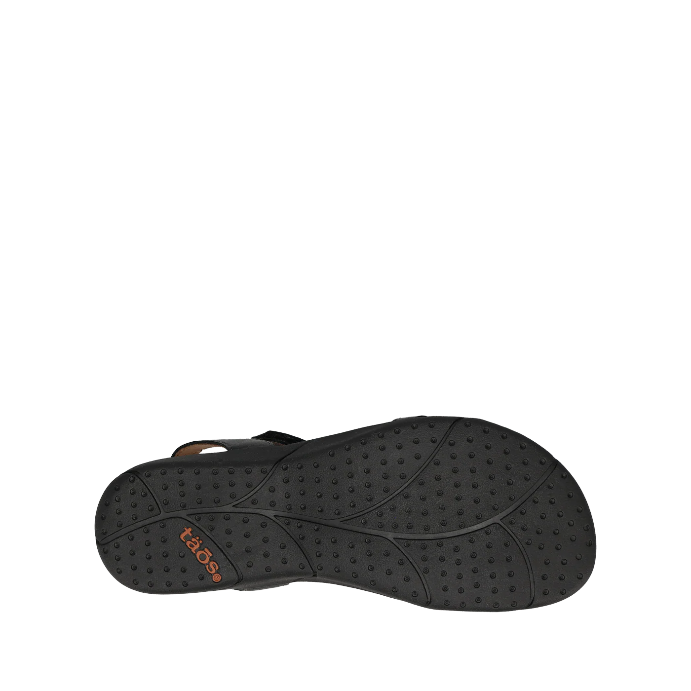 Trophy 2 - Image 5